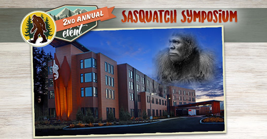 Sasquatch прохождение детектив